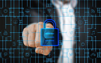 LEYU乐鱼体育官方网站-数字化体育资源共享平台建设与管理，数字体育平台是什么