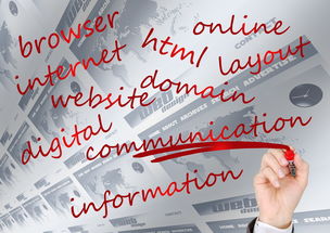 Leyu Sport下载-校园体育赛事品牌建设路径与传播策略研究，校园体育竞赛体系